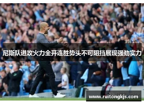 尼斯队进攻火力全开连胜势头不可阻挡展现强劲实力