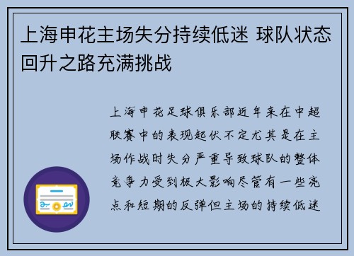 上海申花主场失分持续低迷 球队状态回升之路充满挑战