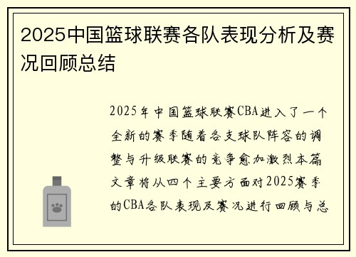 2025中国篮球联赛各队表现分析及赛况回顾总结