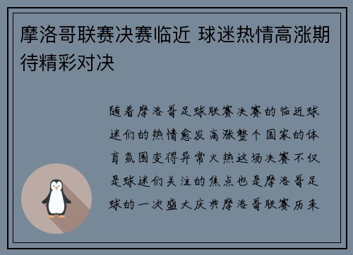 摩洛哥联赛决赛临近 球迷热情高涨期待精彩对决
