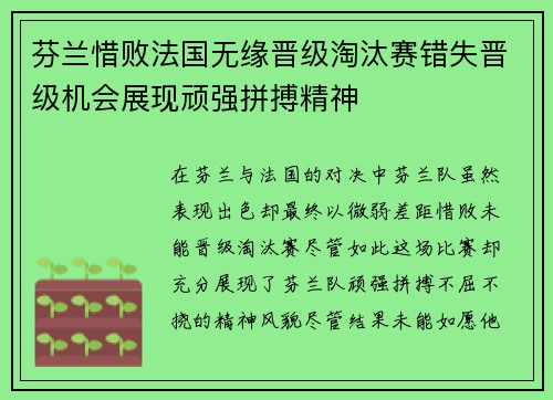 芬兰惜败法国无缘晋级淘汰赛错失晋级机会展现顽强拼搏精神