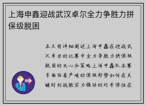 上海申鑫迎战武汉卓尔全力争胜力拼保级脱困